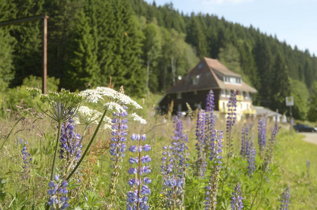 Gasthaus Hotel Loeffelschmiede Feldberg  Exteriér fotografie