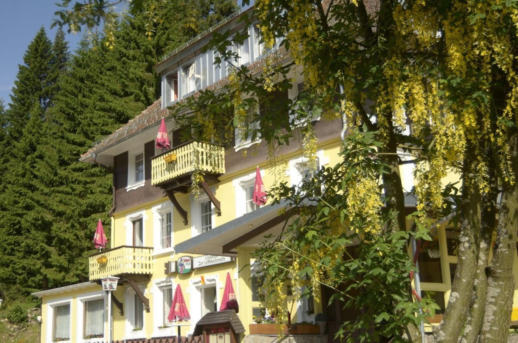 Gasthaus Hotel Loeffelschmiede Feldberg  Exteriér fotografie